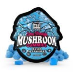 Blue Raspberry Extra-Strength Mushroom Gummies