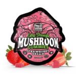 Strawberry Dream Extra-Strength Mushroom Gummies